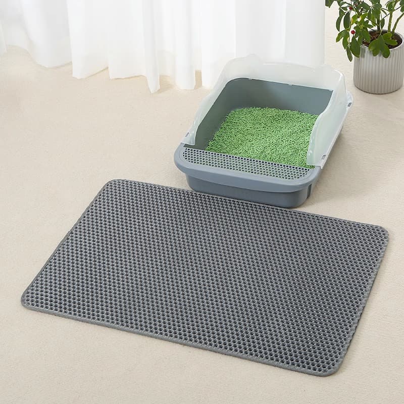 lifestyle tapis gris zone litière